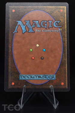 Island (B) - 1993 Magic the Gathering - Limited Edition Beta Regular - Image 2