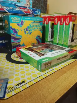 Pokemon TCG: First Partner Illustration Collection Series 1 Brand New Sealed - Image 3