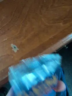 1999 Pokemon (TCG) - BASE SET Unlimited Edition - Empty Charizard Booster Pack - Image 4