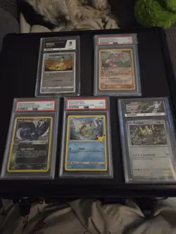 Pokemon Graded Slab Bundle - Image 1