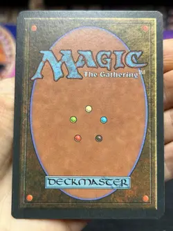 German FBB • Misprint Wald "Forest Plains" • NM / Never Played • Mtg (2043) - Image 3