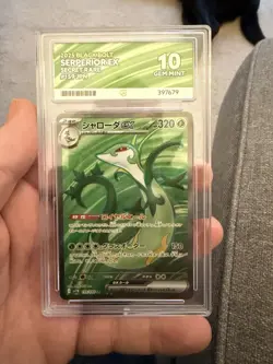 16x Pokemon GEM MINT 10 Graded Cards | PSA ACE PG | Premium Slab Bundle | Mint - Image 3