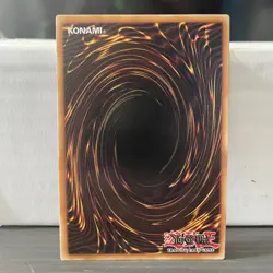 1ST EDITION AMAZONESS CALL FUSION 2020 LDS1-EN024 (BLUE) (LP/MP) YUGIOH - Image 2