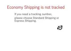 Sandy Shocks ex SAR 215/187 Terastal Festival SV8a Pokemon Card Game Japanese - Image 4