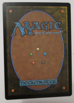 Icetill Explorer Edge of Eternities Non Foil 0192 MTG Magic the Gathering - Image 2