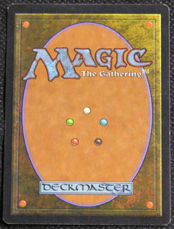 Natural Order - MtG Magic the Gathering - Visions *MP* - Image 2