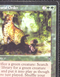 Natural Order - MtG Magic the Gathering - Visions *MP* - Image 5