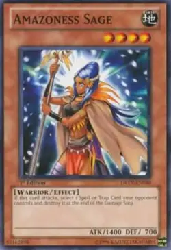 Amazoness Sage - DREV-EN030 - Common - Unlimited Edition - Damaged - Duelist Rev - Image 1