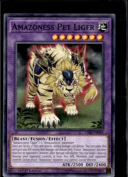 Yu-Gi-Oh !Amazoness Pet Liger CIBR-EN094 1st Edition Non Holo - Image 1
