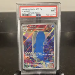 Wailord Illustration Rare Pokemon Jtg En-Journey Together 162 NM PSA 9 22288 👁 - Image 1