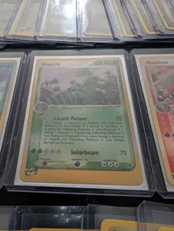 Pokemon EX Ruby & Sapphire Vintage Lot (2003) - Lapras ex + Blaziken & Sceptile - Image 5