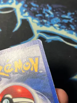 Beedrill 17/102 Shadowless Rare Base Set - Pokemon Card WOTC MP - Image 2