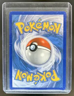 2018 Pokemon SM Celestial Storm Groudon Promos Holo #81/168 - Image 2