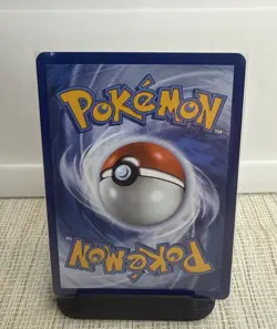 Pokemon Chimchar 041 Black Star Promo MEP TCG Partner Card NM/M - Image 2