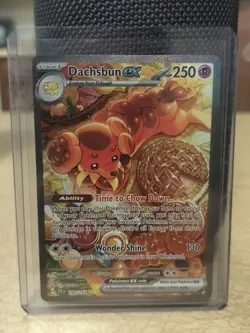Dachsbun ex 169/142 Stellar Crown Special Illustration Rare Pokemon TCG LP-NM - Image 1