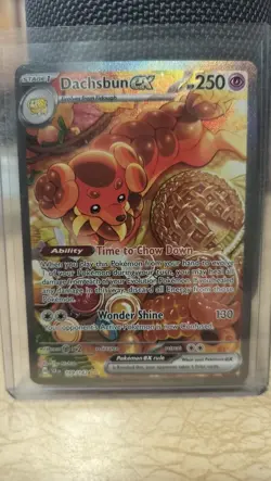 Dachsbun ex 169/142 Stellar Crown Special Illustration Rare Pokemon TCG LP-NM - Image 2