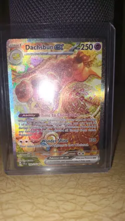 Dachsbun ex 169/142 Stellar Crown Special Illustration Rare Pokemon TCG LP-NM - Image 3