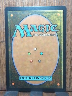 💕✨MTG Don't Move ( Borderless FOIL ) LCI Jurassic World Collection NM❤ - Image 3