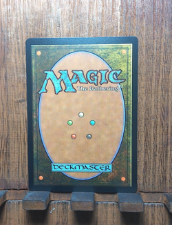 💕✨MTG Don't Move ( Borderless FOIL ) LCI Jurassic World Collection NM❤ - Image 4