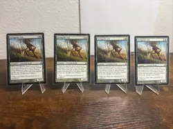 4 Seedguide Ash Lorwyn MTG NM Free shipping with tracking - Image 1