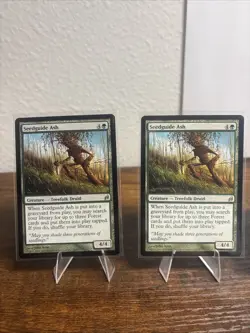 4 Seedguide Ash Lorwyn MTG NM Free shipping with tracking - Image 2
