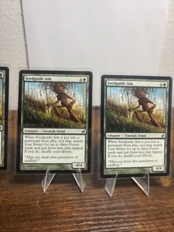 4 Seedguide Ash Lorwyn MTG NM Free shipping with tracking - Image 3