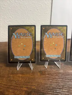 4 Seedguide Ash Lorwyn MTG NM Free shipping with tracking - Image 4