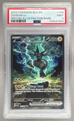 134547464 Zekrom ex 2025 Pokemon Black Bolt #166 SIR PSA 9 - Image 1