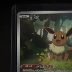 Pokemon TCG Eevee Cbb2c 0115/15 Simplified Chinese Exclusive Gem Pack Vol. 2 - Image 4