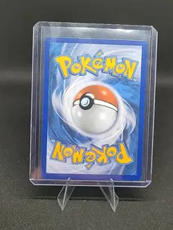 Sharpedo - (Eevee Stamped) Promo Battle Academy 2022 163/264 NM Pokemon TCG - Image 2