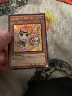 Wind-Up Kitten PHSW-EN026 Photon Shockwave 1st Edition - Image 2