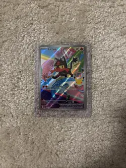 Pokemon First Partner Illustration Collection - Alolan Starter Set - Pokemon TCG - Image 2