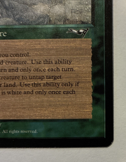 Nature's Chosen Alliances Uncommon Magic the Gathering 1996 - NM - Image 3