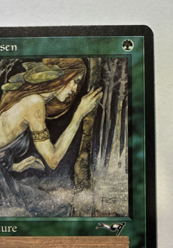 Nature's Chosen Alliances Uncommon Magic the Gathering 1996 - NM - Image 4