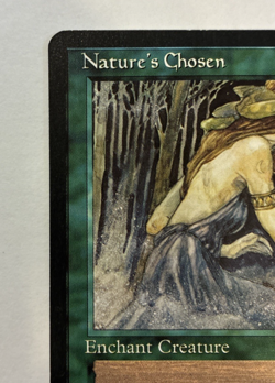 Nature's Chosen Alliances Uncommon Magic the Gathering 1996 - NM - Image 5