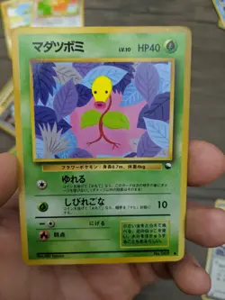Bellsprout (Japanese) No. 069 - Common Glossy Promo (Vending Series 3) LP - Image 1