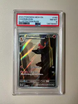 (B) 2023 Pokemon 151 MEW EN 169/165 Charmeleion IR Illustration Rare PSA 8 - Image 1