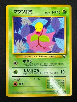 [NM] Bellsprout Pokemon Card Japanese No.069 Vending Series Vintage Glossy 31M16 - Image 2