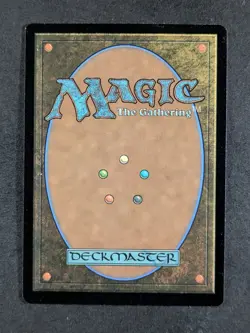 2026 MTG TROUBLE IN PAIRS #0003 TMNT: Source Material Borderless Mythic Rare - Image 2