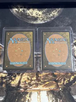 Magic: The Gathering Starting Town Land Cards FFO Lot x2 - Image 2