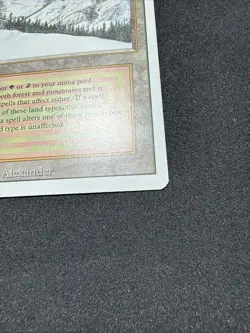 Taiga Revised Edition Dual Land Magic: The Gathering NM condition - Image 3