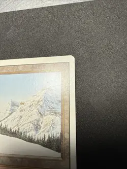 Taiga Revised Edition Dual Land Magic: The Gathering NM condition - Image 4