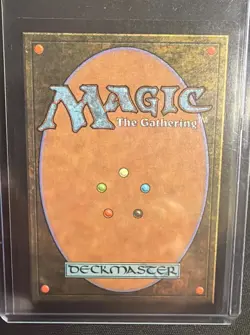 MTG NM Femeref Enchantress Visions - Image 2