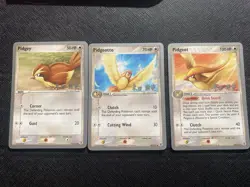 Pokemon TCG - Pidgey/Pidgeotto/Pidgeot, 2005 World Championship T. Yoneda - LP - Image 1