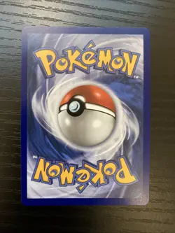 Litten 044 First Partner Illustration Collection Promo Pokemon English NM MEP - Image 3