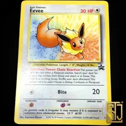 Stamp Rally Eevee 1995 English version bonus Vintage Pokemon Promo Card Japan 3 - Image 1