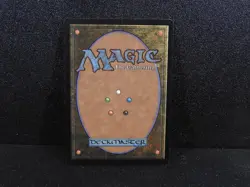 Mtg Femeref Enchantress Visions LP - Image 2