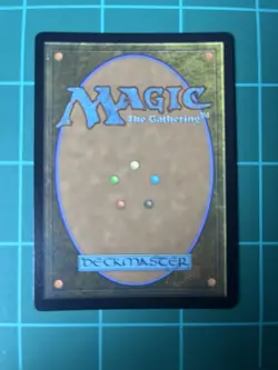 8 Forest Full Art Lands Assassin's Creed NM/M ACR MTG Magic - Image 3