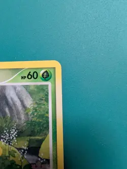 Pokemon Card 2008 Countdown Calendar Promo Turtwig 78/100 - Image 4