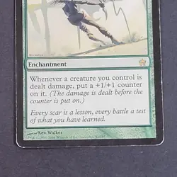 MTG - 1x Rite of Passage - Fifth Dawn - Played - MP - Rare - Magic The Gathering - Image 4